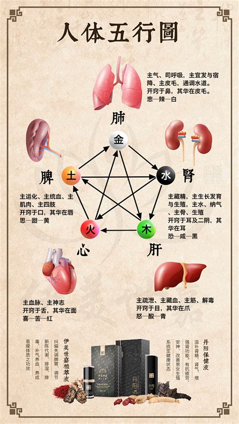 五行六腑|中医给五脏划分了五行属性，十分精准，古人是如何做。